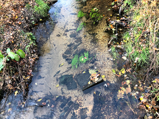 Nature Preserve «Brookside Preserve», reviews and photos, N Brookside Ave, Roosevelt, NY 11575, USA