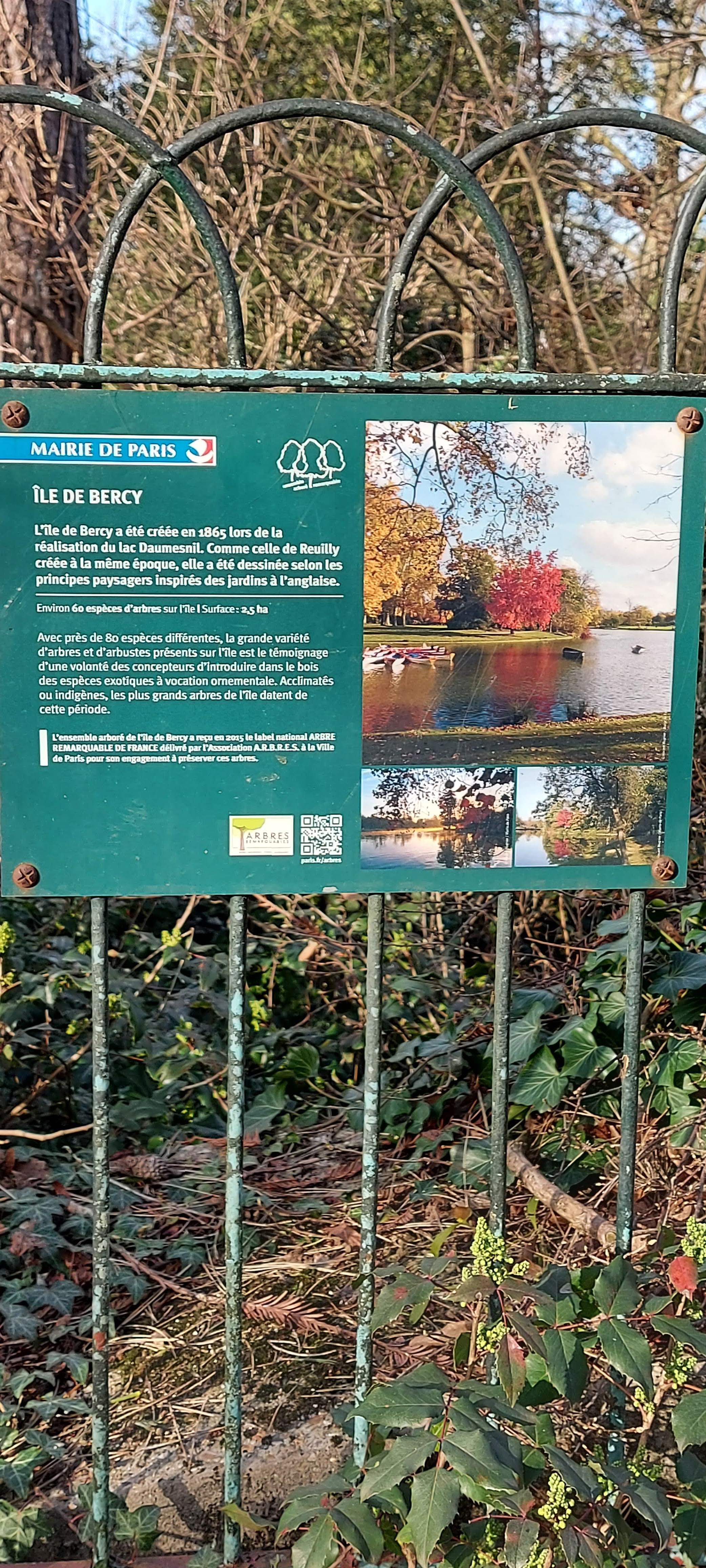 Photo n° 45 de l'avis de gwadilina.l fait le 12/05/2022 à 00:30