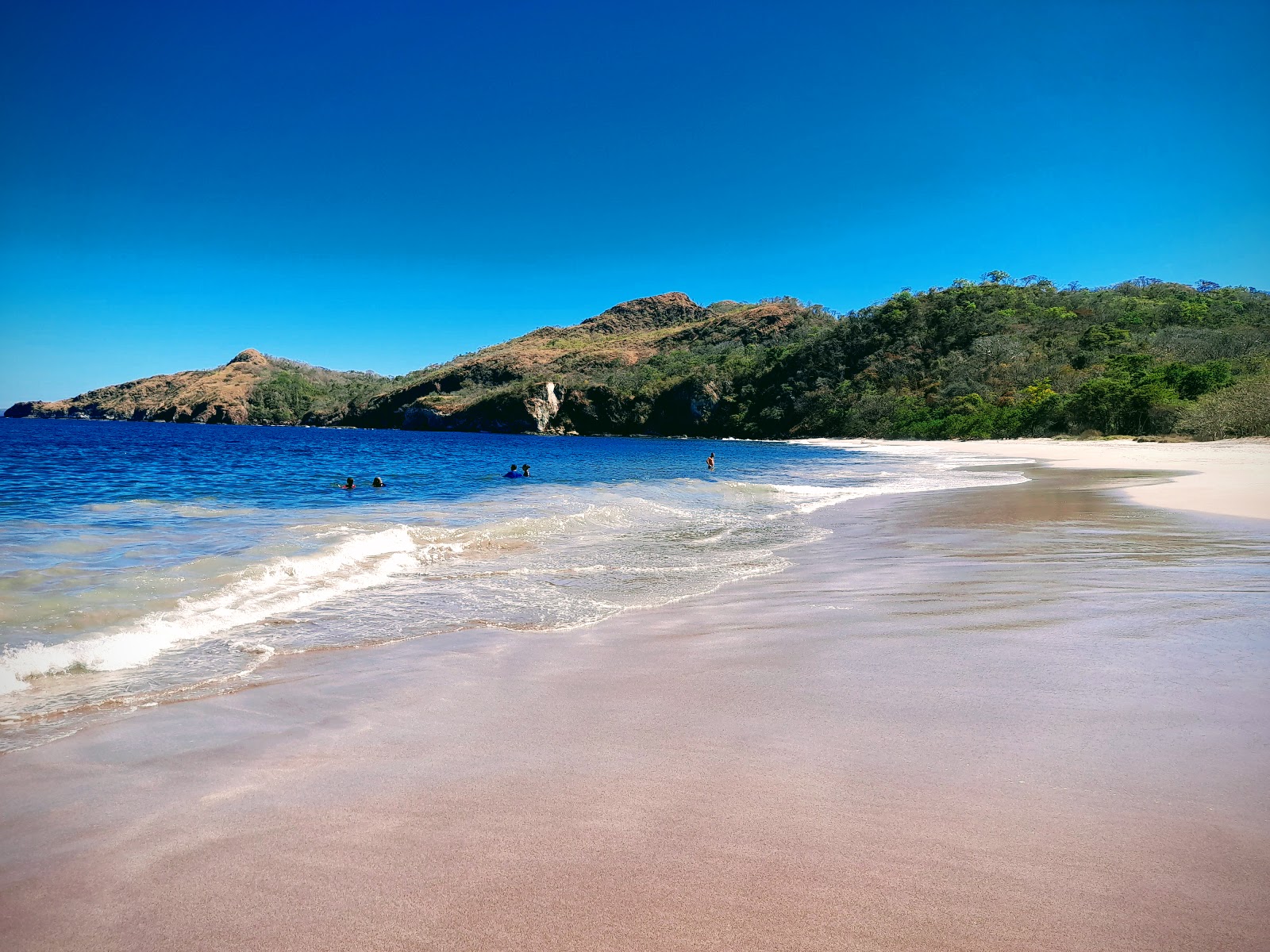 Zapotillal Beach 🏖️ Playa Real, Costa Rica detailed features, map, photos