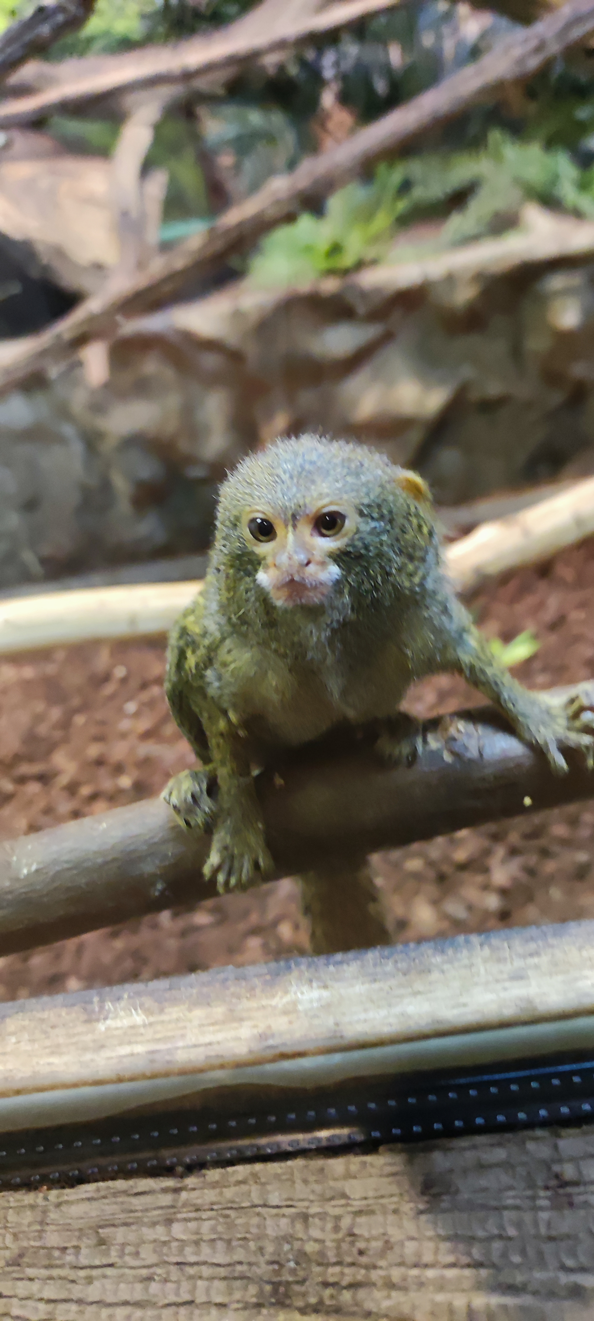 Photo n° 12 de l'avis de Aurélie.i fait le 15/07/2021 à 17:00