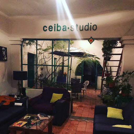 Ceiba Studio