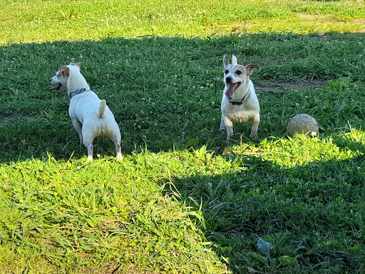 Clínica Veterinaria Muxkiida Aibaitari Kiinika en Irun