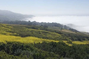 Three Sisters Reserve image