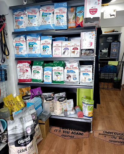 La Costa Top Dogs en Fuengirola, Málaga