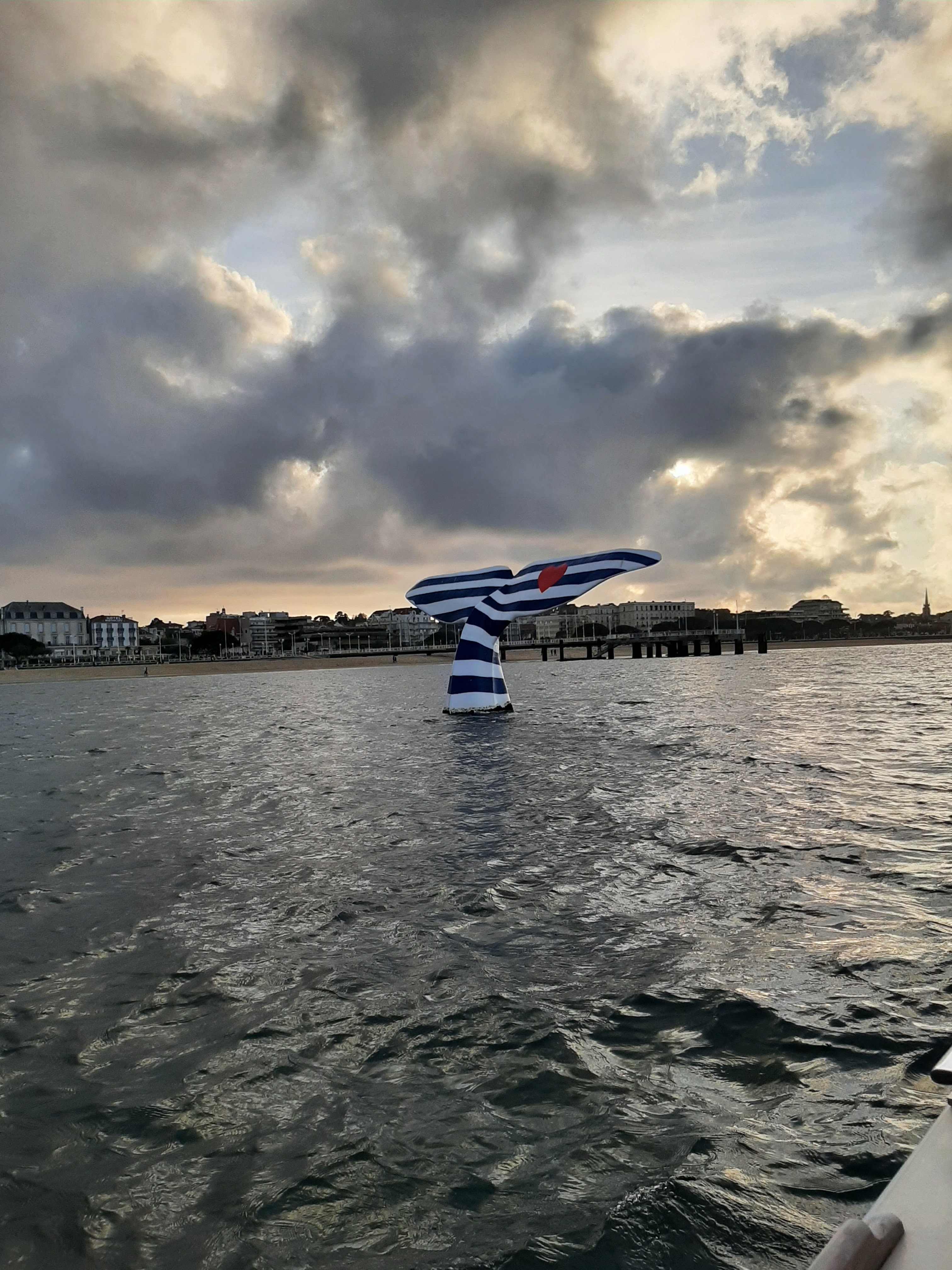 Photo n° 1 de l'avis de tournier.a fait le 13/11/2021 à 19:23