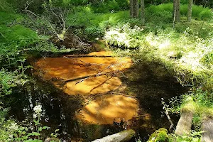 Uhrilähde Spring image