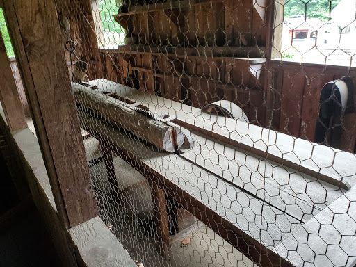 Miniature Golf Course «Olde Sawmill Grill and Miniature Golf Course», reviews and photos, 345 Oxford Rd, Oxford, CT 06478, USA