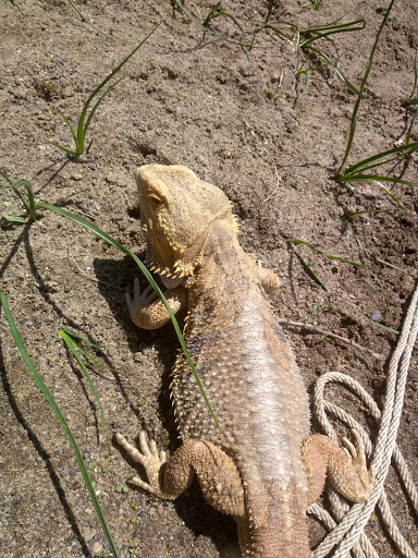 Park «Tanners Lake Park», reviews and photos, 400 Glenbrook Ave N, Oakdale, MN 55128, USA