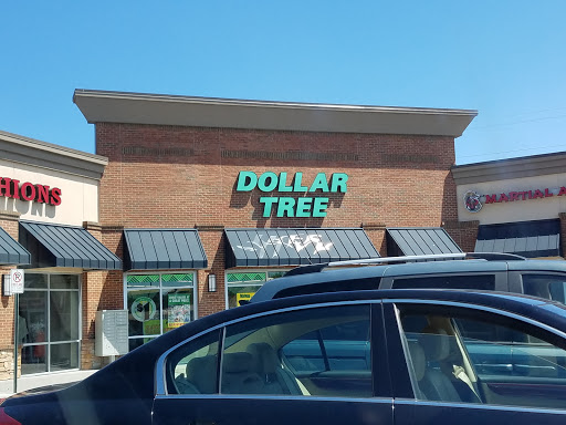 Dollar Store «Dollar Tree», reviews and photos, 3425 Centerville Hwy #2a, Snellville, GA 30039, USA