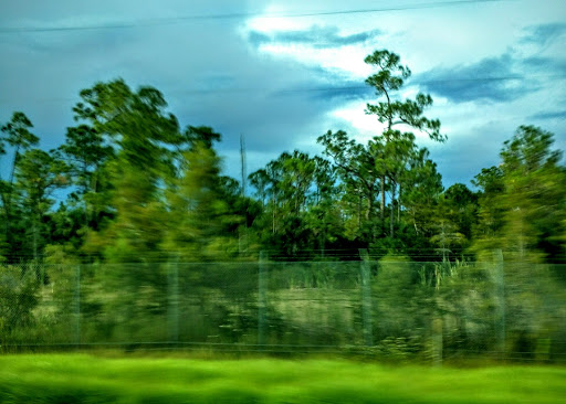 Nature Preserve «Big Cypress National Preserve», reviews and photos