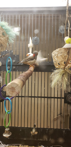 Pet Supply Store «PetSmart», reviews and photos, 3780 Riverchase Village #300, Hoover, AL 35244, USA