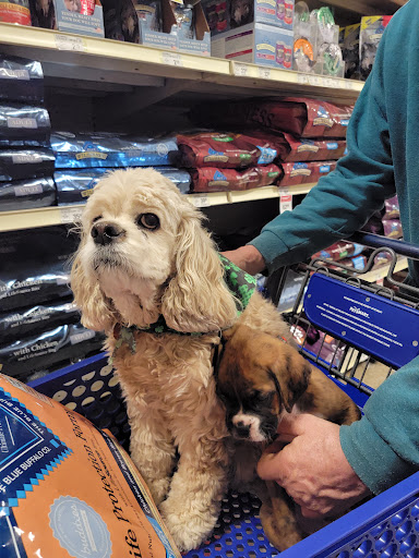 Pet Supply Store «PetSmart», reviews and photos, 1020 Veterans Pkwy #900, Clarksville, IN 47129, USA