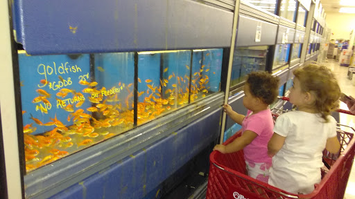 Pet Store «Petsway», reviews and photos, 1717 W Kearney St, Springfield, MO 65803, USA