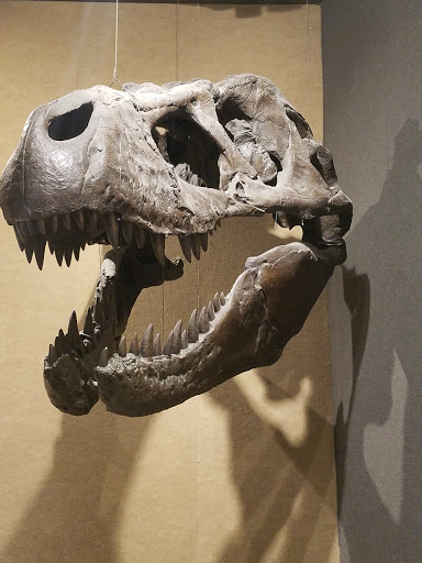 Museum «Museum of the Earth», reviews and photos, 1259 Trumansburg Rd, Ithaca, NY 14850, USA