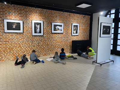Galerie Henri le Fauconnier à Hesdin