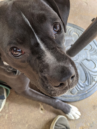 Brewery «Navigation Brewing Company», reviews and photos, 122 Western Ave, Lowell, MA 01851, USA