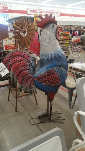 Home Improvement Store «Tractor Supply Co.», reviews and photos, 706 NY-13, Cortland, NY 13045, USA