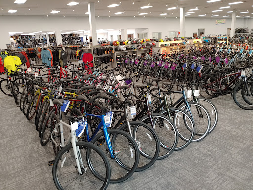 Bicycle Store «Martins Bike Shop», reviews and photos, 1891 Division Hwy, Ephrata, PA 17522, USA