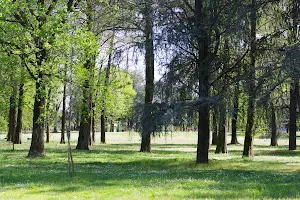 Parco Nord di San Giuliano Milanese image