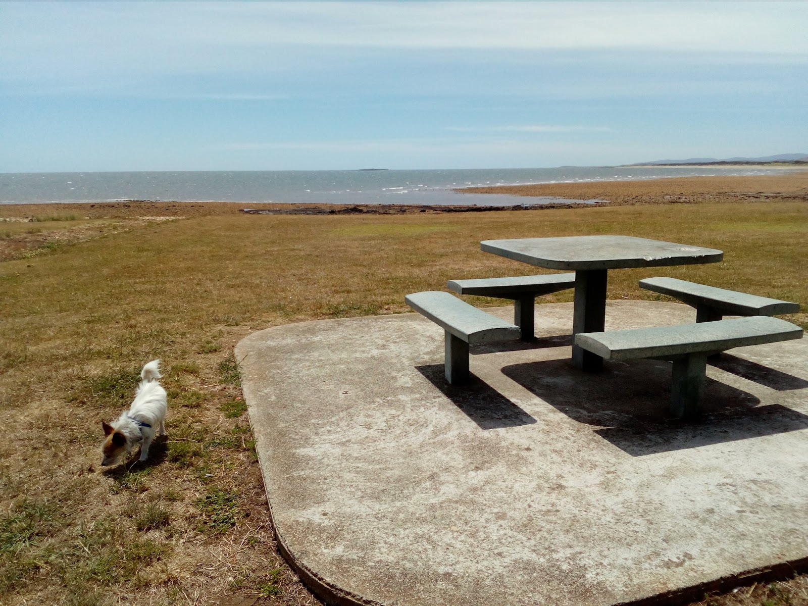 Pardoe Beach photo #8