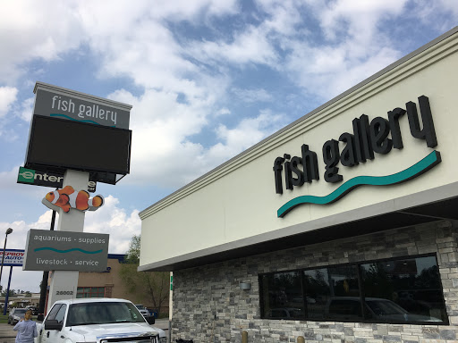 Pet Supply Store «Fish Gallery», reviews and photos, 26002 I-45, Spring, TX 77396, USA