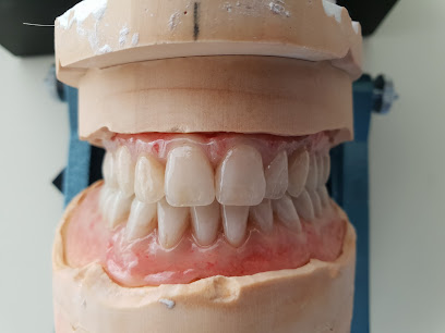 Artisan Dental Studio - Dentures in Napier