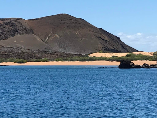 Travel Agency «Condor Tours & Travel, Inc», reviews and photos, 1760 Spectrum Dr #106, Lawrenceville, GA 30043, USA