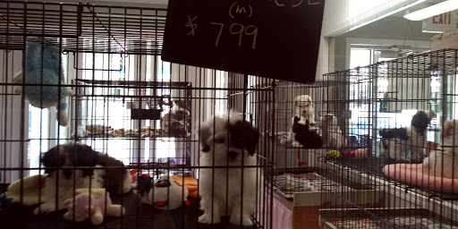 Dream Puppys, 1461 Westgate Pkwy, Dothan, AL 36303, USA, 