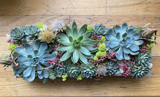 Florist «FlowersFlowers», reviews and photos, 1110 Davis St, Evanston, IL 60201, USA