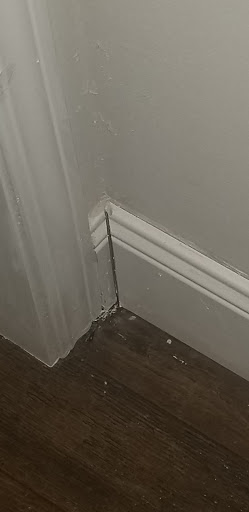 Home Builder «Scot Bilt Homes Inc», reviews and photos