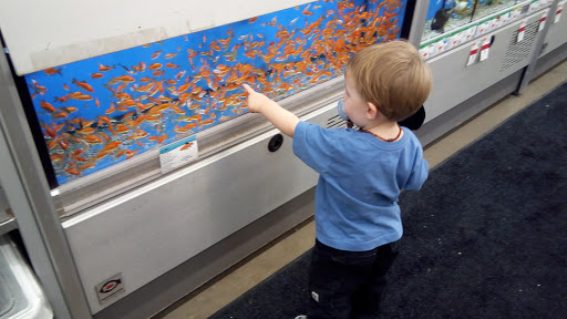 Pet Supply Store «Pet Supplies Plus», reviews and photos, 22124 Ecorse Rd, Taylor, MI 48180, USA