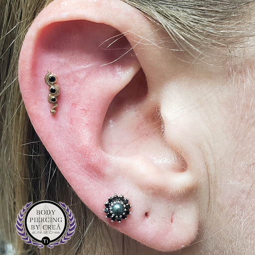 Explore lion tattoo ideas for guys, creative tattoo ideas in Sarasota, available at Z-Edge Tattoo and Body Piercing North Shop