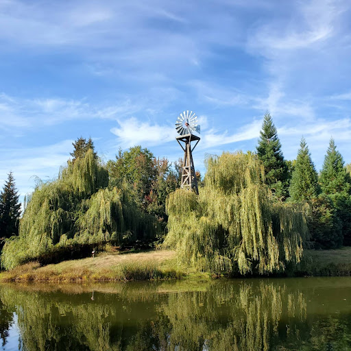 Park «Lynden City Park», reviews and photos