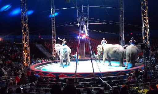 Shopping Mall «Freedom Mart Shopping Center», reviews and photos, 3164 Freedom Dr, Charlotte, NC 28208, USA