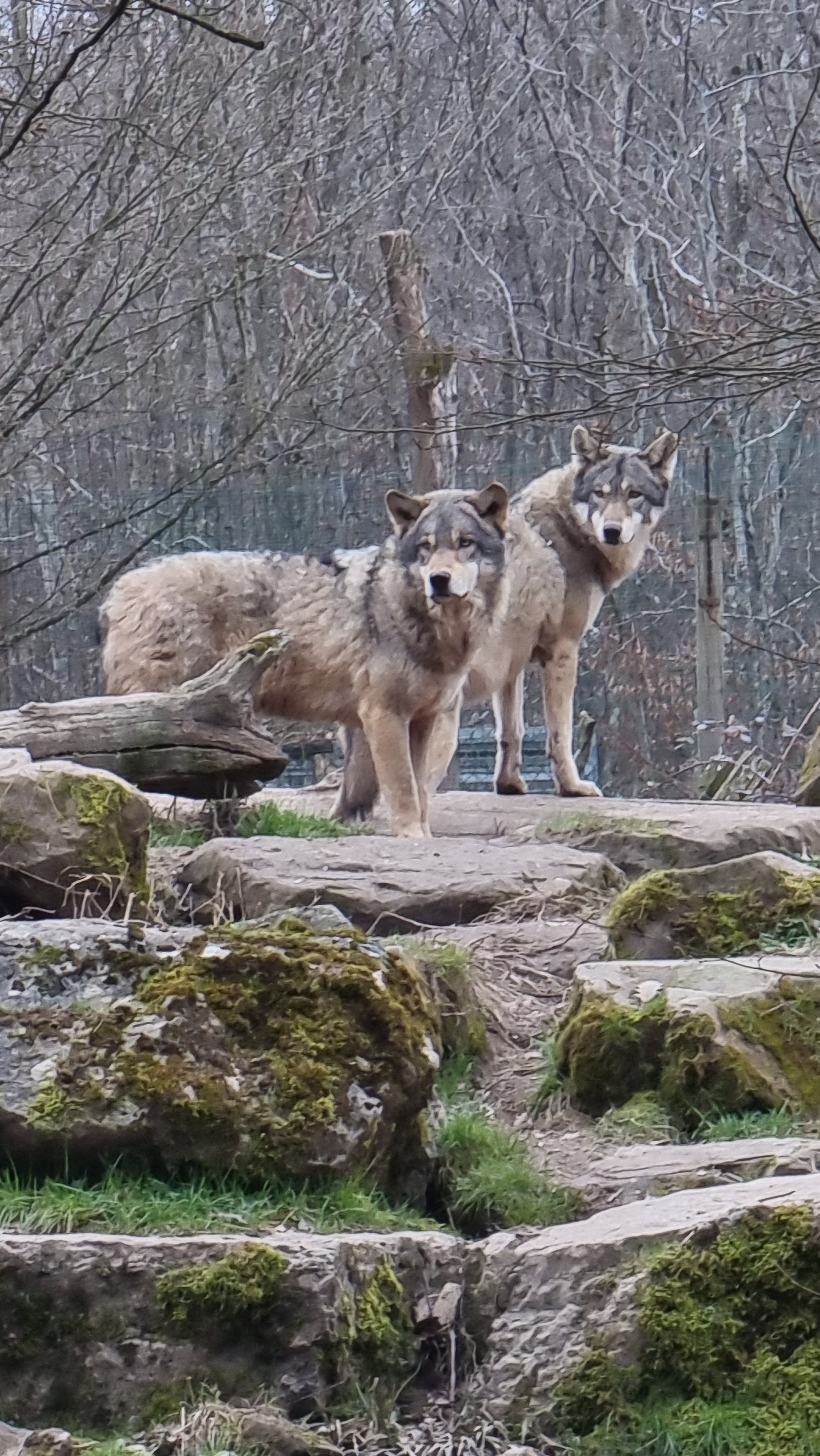 Photo n° 28 de l'avis de percque.a fait le 12/03/2023 à 16:11