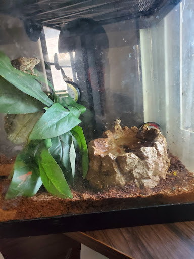 Pet Supply Store «Petco Animal Supplies», reviews and photos, 30 Veterans Memorial Hwy, Commack, NY 11725, USA