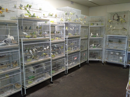 Pet Supply Store «Melis Granero Pet Shop Feed&Supply», reviews and photos, 224 E Foothill Blvd, Rialto, CA 92376, USA