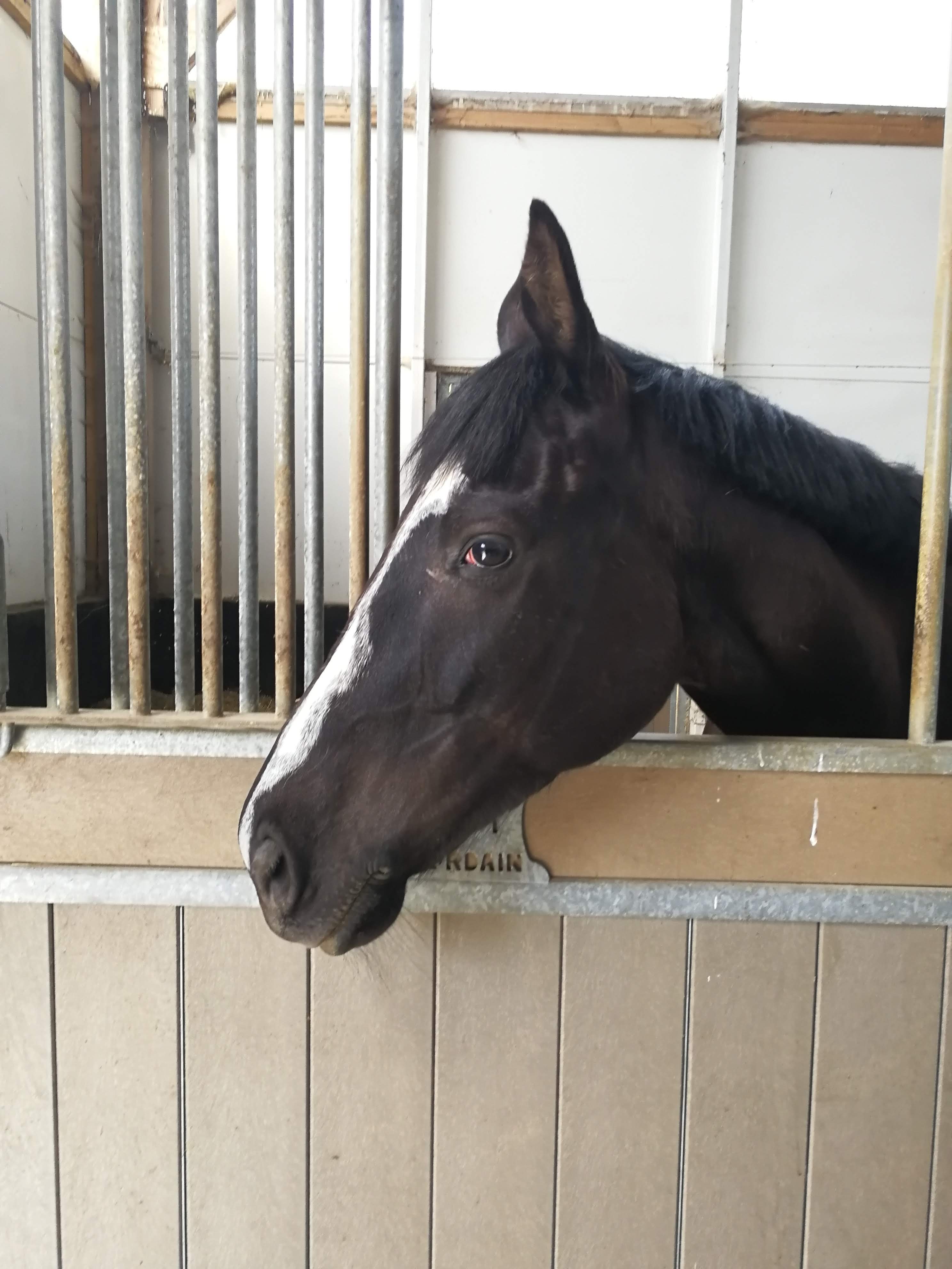 Photo n° 1 de l'avis de Jordan.o fait le 29/04/2019 à 09:26