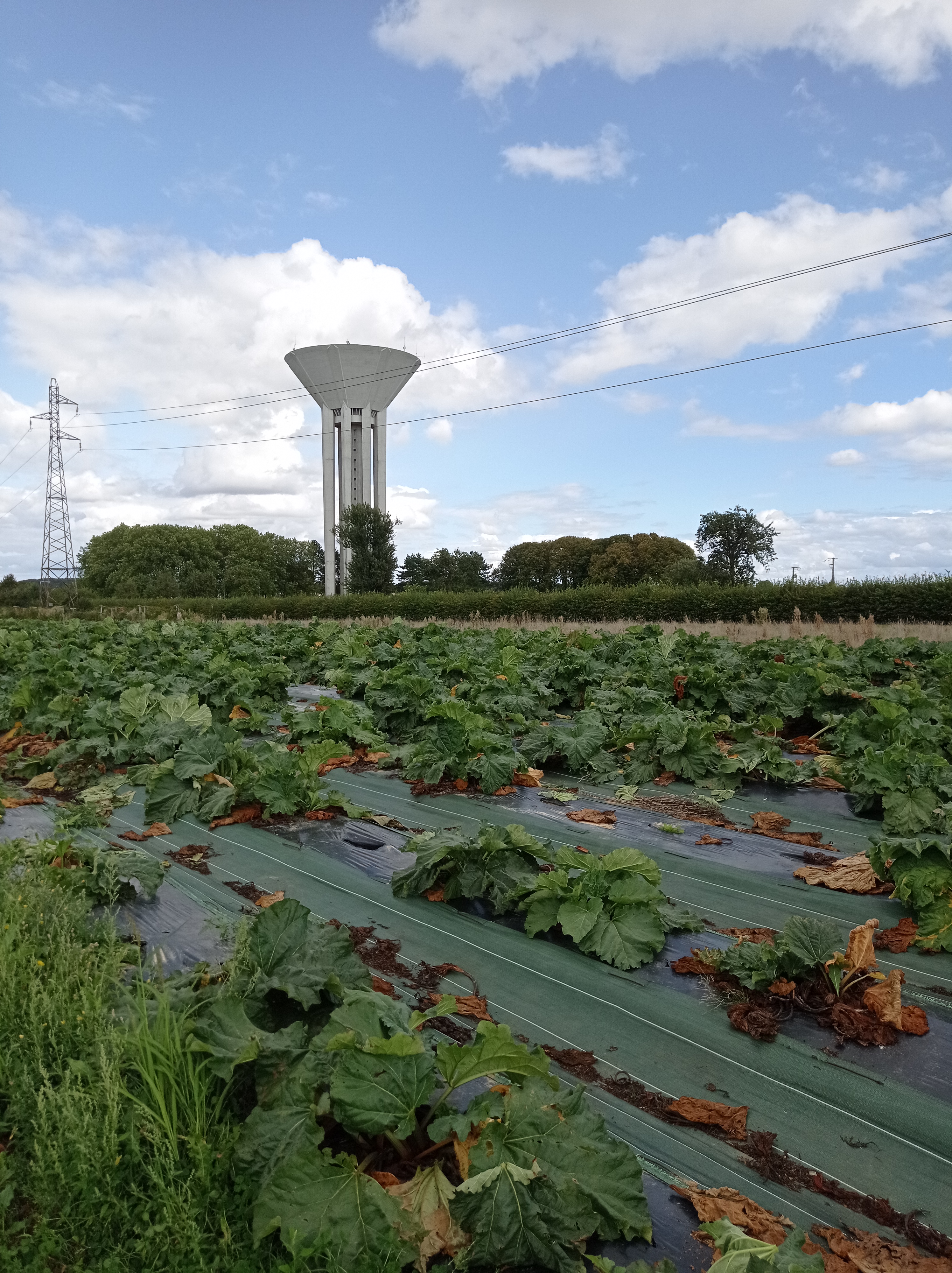 Photo n° 2 de l'avis de alexandre.u fait le 27/08/2023 à 13:21
