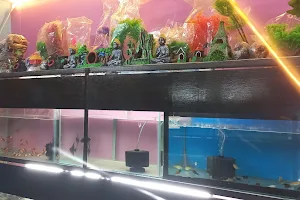 Jolpori fish shop image