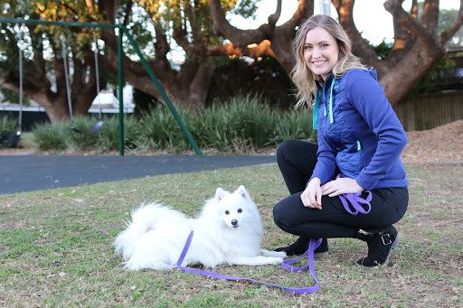 Pet Professor Dog Training Sydney
