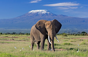 Mount Kilimanjaro National Park