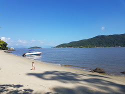 Foto von Ilha das Flores Beach - beliebter Ort unter Entspannungskennern