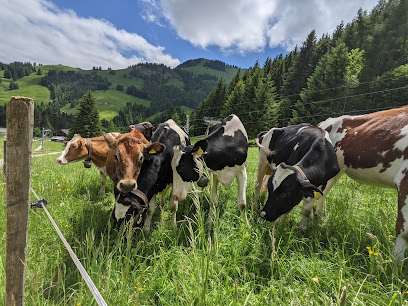 Fromagerie d'Alpage de Moléson