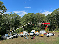 Tomorrow's Trees - Photo 5 - Car repair in Oakdale, CT, Norwich