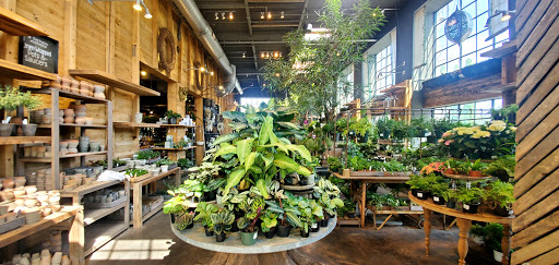 Garden Center «Terrain», reviews and photos, 561 Post Rd E, Westport, CT 06880, USA