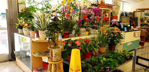 Supermarket «Arcadia Super Market», reviews and photos, 645 W Duarte Rd, Arcadia, CA 91007, USA