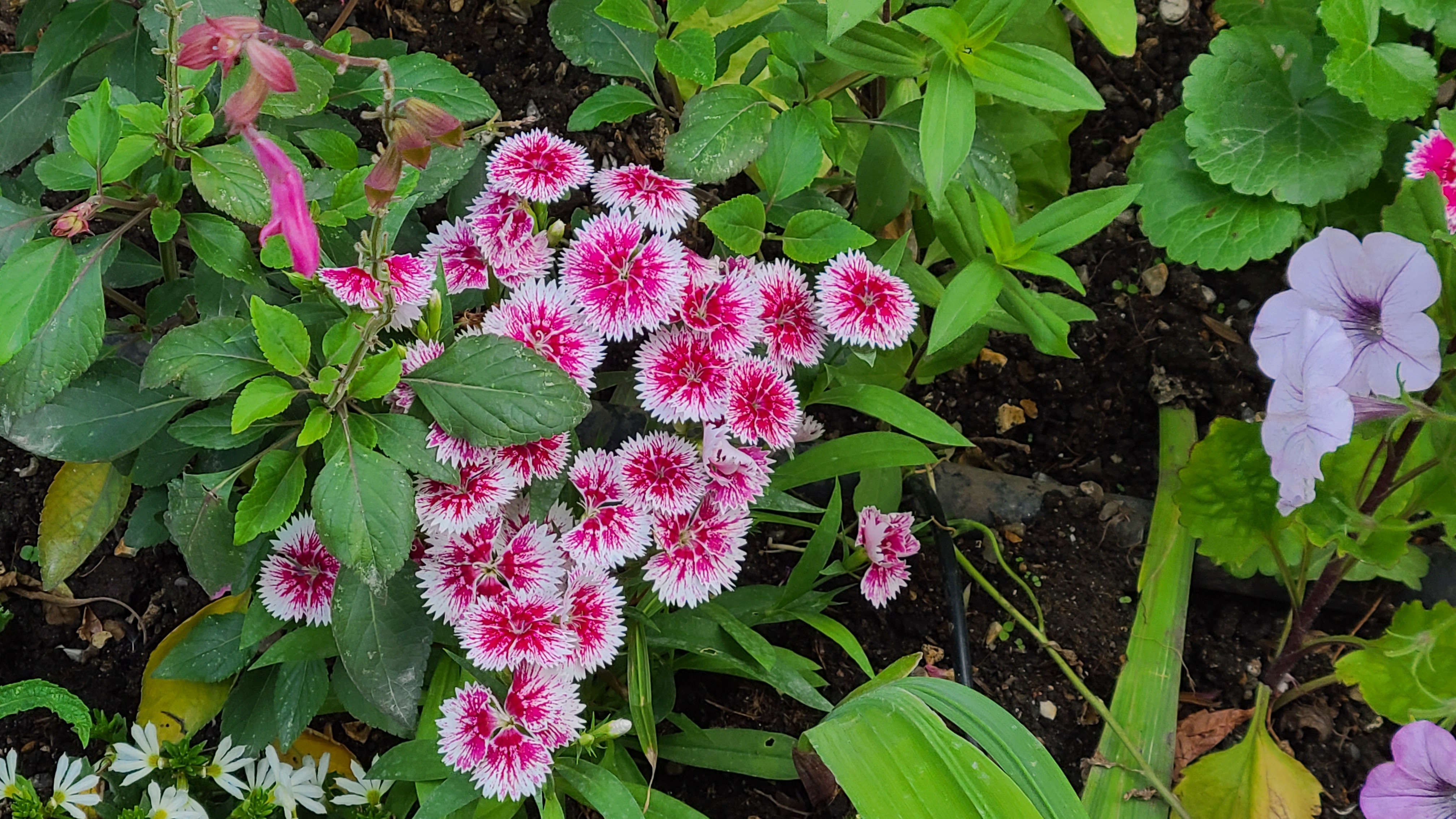 Photo n° 6 de l'avis de Claudia.r fait le 13/07/2023 à 09:22