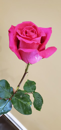 Funeral Home «Maspons Funeral Home and Crematorium», reviews and photos, 3500 SW 8th St, Miami, FL 33135, USA