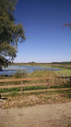 Winery «Domaine Berrien Cellars», reviews and photos, 398 E Lemon Creek Rd, Berrien Springs, MI 49103, USA